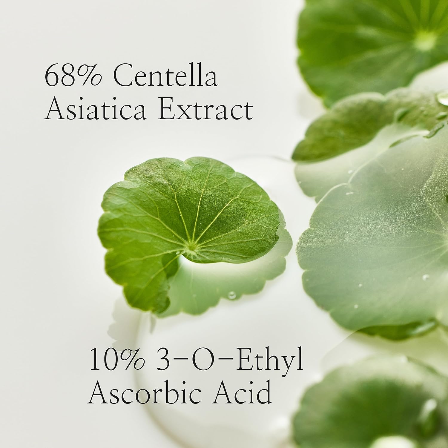 Beauty of Joseon Sérum Light On Centella + Vita C