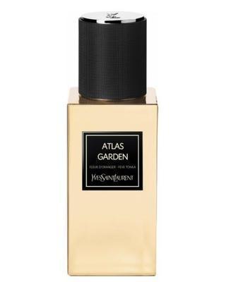 YSL Atlas Garden - Échantillon / Décant