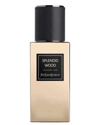 YSL Splendid Wood - Échantillon / Décant